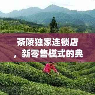 茶陵独家连锁店，新零售模式的典范探索