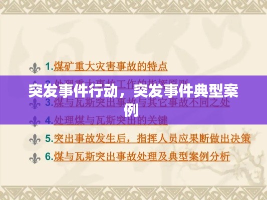 突发事件行动,突发事件典型案例