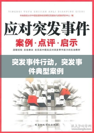 突发事件行动,突发事件典型案例