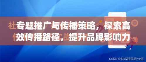 专题推广与传播策略,探索高效传播路径,提升品牌影响力