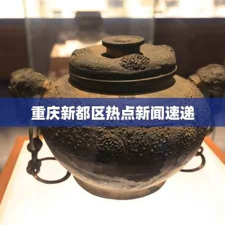 虫言鸟迹 第5页