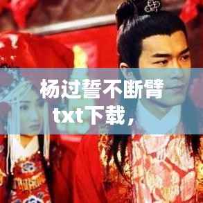 杨过誓不断臂txt下载,