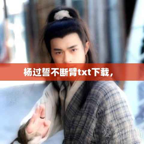 杨过誓不断臂txt下载， 