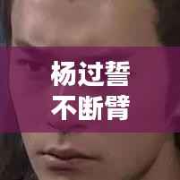 杨过誓不断臂txt下载,