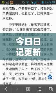 今日日记更新，生活的细节与感悟分享