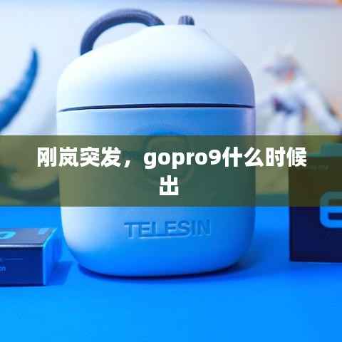 刚岚突发,gopro9什么时候出