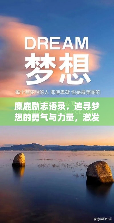 麋鹿励志语录,追寻梦想的勇气与力量,激发无限潜能!