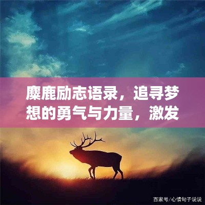 麋鹿励志语录,追寻梦想的勇气与力量,激发无限潜能!