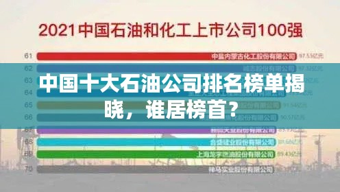 中国十大石油公司排名榜单揭晓,谁居榜首?