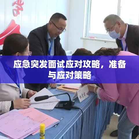 应急突发面试应对攻略,准备与应对策略