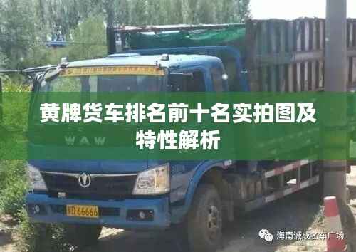 黄牌货车排名前十名实拍图及特性解析