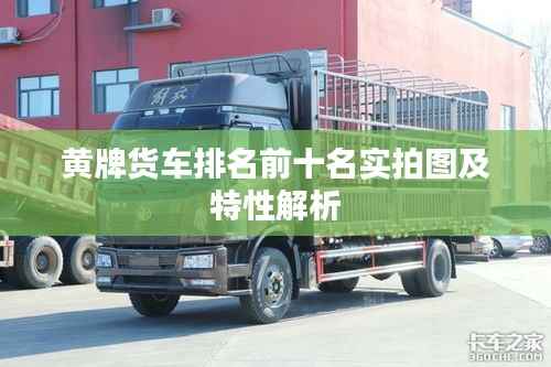 黄牌货车排名前十名实拍图及特性解析