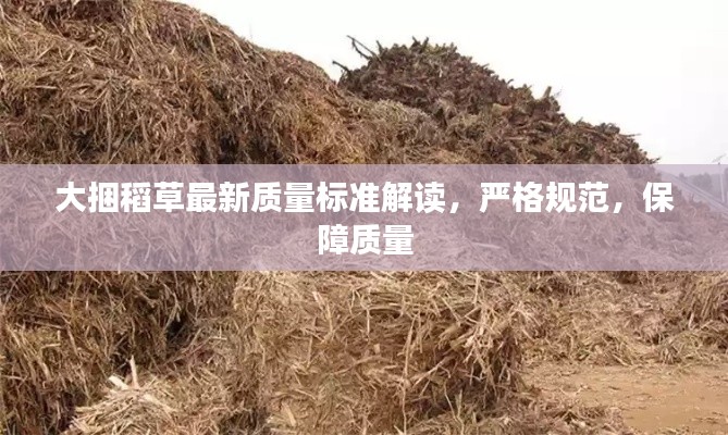 大捆稻草最新质量标准解读,严格规范,保障质量