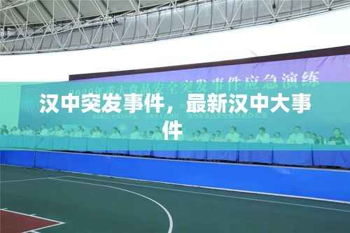 张皇铺饰 第5页