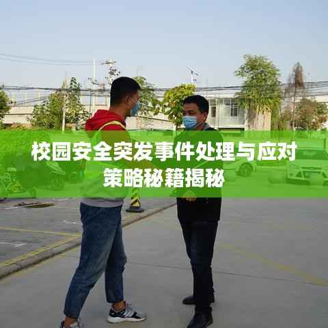 校园安全突发事件处理与应对策略秘籍揭秘