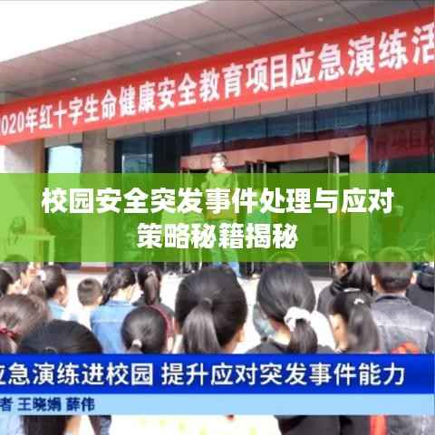 校园安全突发事件处理与应对策略秘籍揭秘