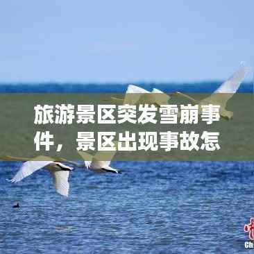 旅游景区突发雪崩事件,景区出现事故怎么解决