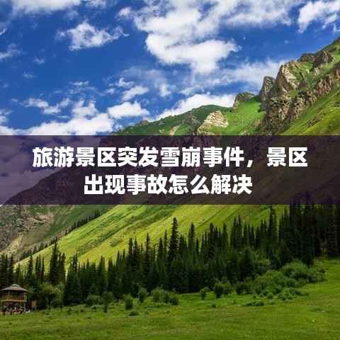 旅游景区突发雪崩事件,景区出现事故怎么解决