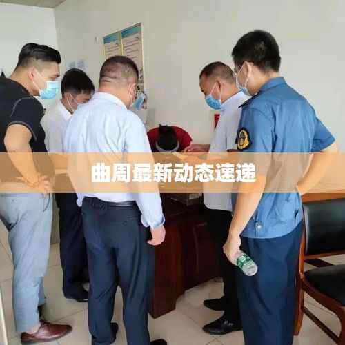 曲周最新动态速递