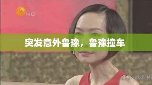 突发意外鲁豫,鲁豫撞车