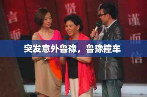 突发意外鲁豫,鲁豫撞车