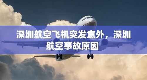 深圳航空飞机突发意外,深圳航空事故原因