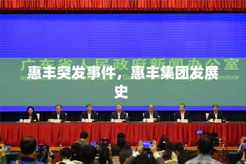 惠丰突发事件,惠丰集团发展史