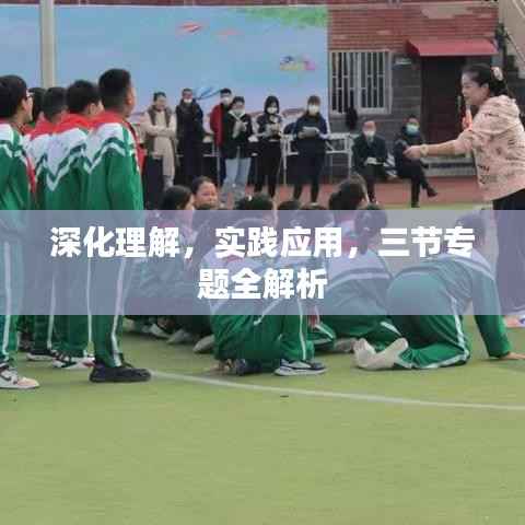 深化理解，实践应用，三节专题全解析