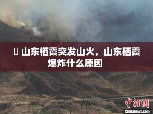 輊 山东栖霞突发山火,山东栖霞爆炸什么原因