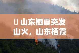 輊 山东栖霞突发山火,山东栖霞爆炸什么原因