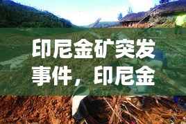 印尼金矿突发事件,印尼金矿山体滑坡