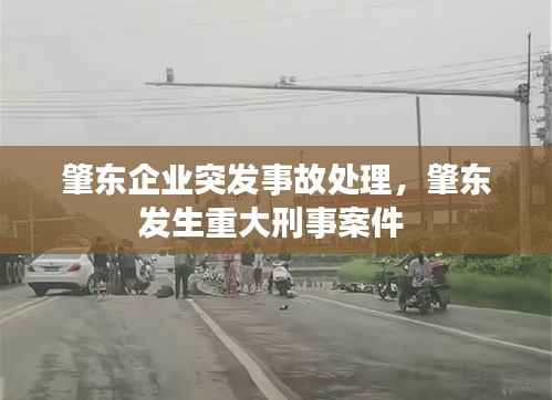 肇东企业突发事故处理,肇东发生重大刑事案件