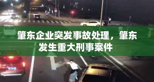 肇东企业突发事故处理,肇东发生重大刑事案件