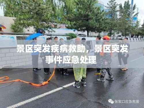 景区突发疾病救助,景区突发事件应急处理