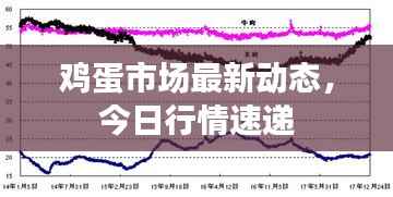 鸡蛋市场最新动态,今日行情速递