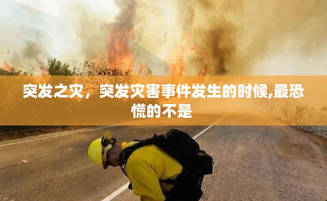 突发之灾,突发灾害事件发生的时候,最恐慌的不是