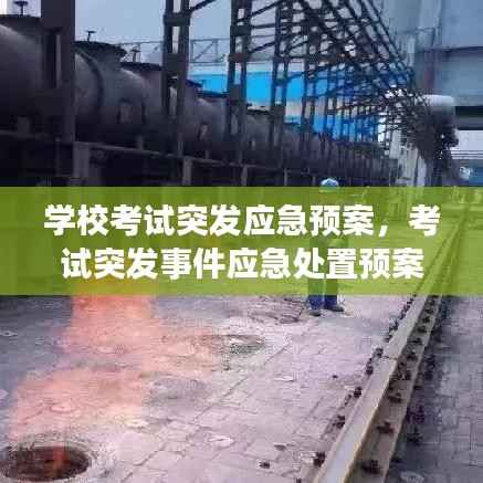 学校考试突发应急预案,考试突发事件应急处置预案