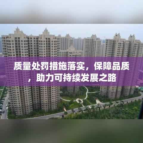 质量处罚措施落实,保障品质,助力可持续发展之路