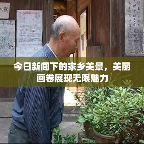 今日新闻下的家乡美景,美丽画卷展现无限魅力