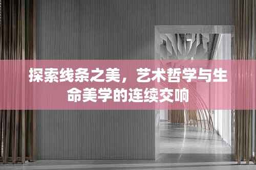 探索线条之美,艺术哲学与生命美学的连续交响