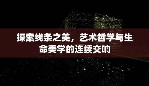 探索线条之美,艺术哲学与生命美学的连续交响