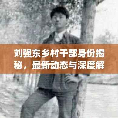 刘强东乡村干部身份揭秘,最新动态与深度解读