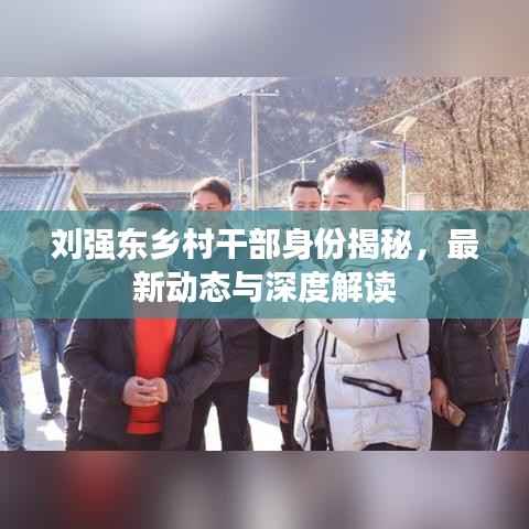 刘强东乡村干部身份揭秘,最新动态与深度解读