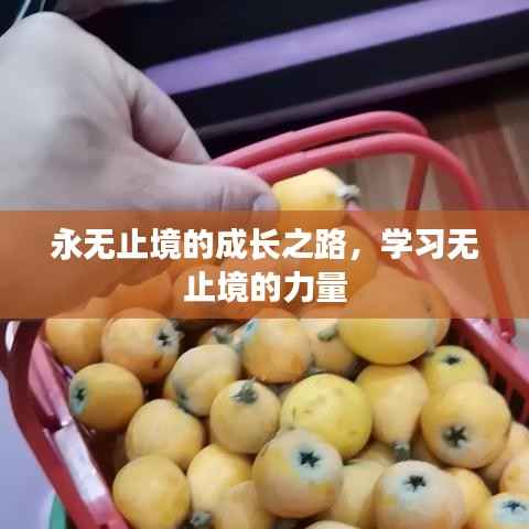 永无止境的成长之路,学习无止境的力量