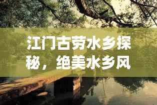 江门古劳水乡探秘，绝美水乡风情，必看的旅游攻略！