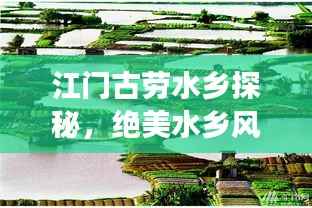 江门古劳水乡探秘,绝美水乡风情,必看的旅游攻略!
