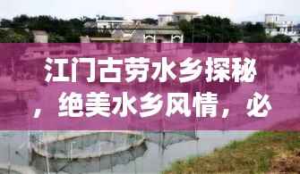 江门古劳水乡探秘,绝美水乡风情,必看的旅游攻略!