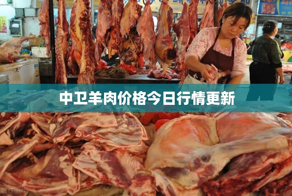 中卫羊肉价格今日行情更新
