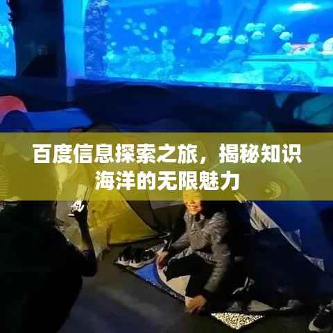 百度信息探索之旅,揭秘知识海洋的无限魅力