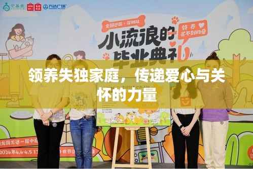 领养失独家庭,传递爱心与关怀的力量